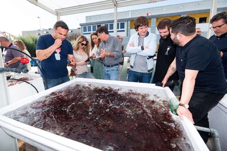 La visita tuvo lugar días atrás (Foto TA)